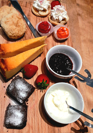 Kattencafé de Spinnerij Tilburg